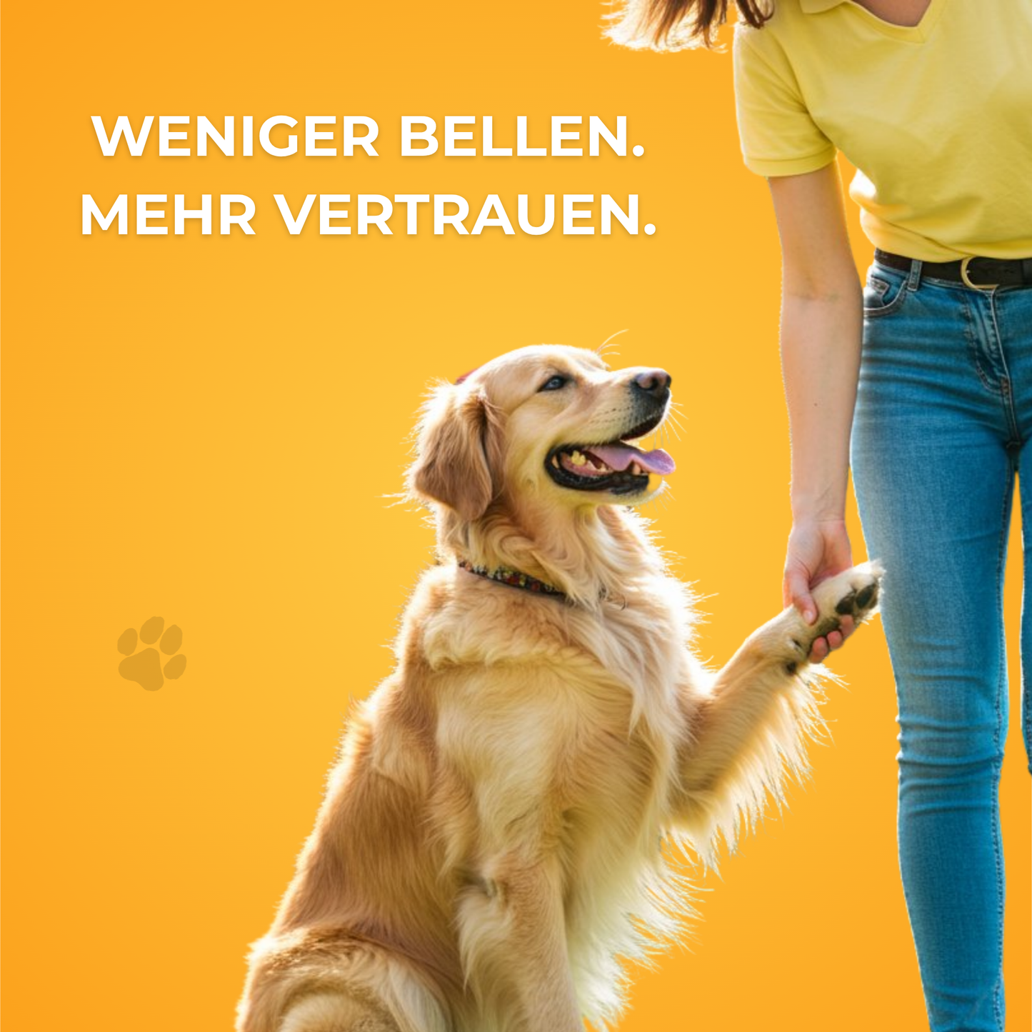 SilentDog™ - Trainingshilfe
