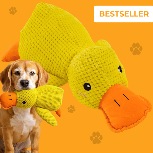 Anti-Stress Ente