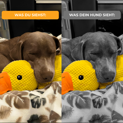 Anti-Stress Ente
