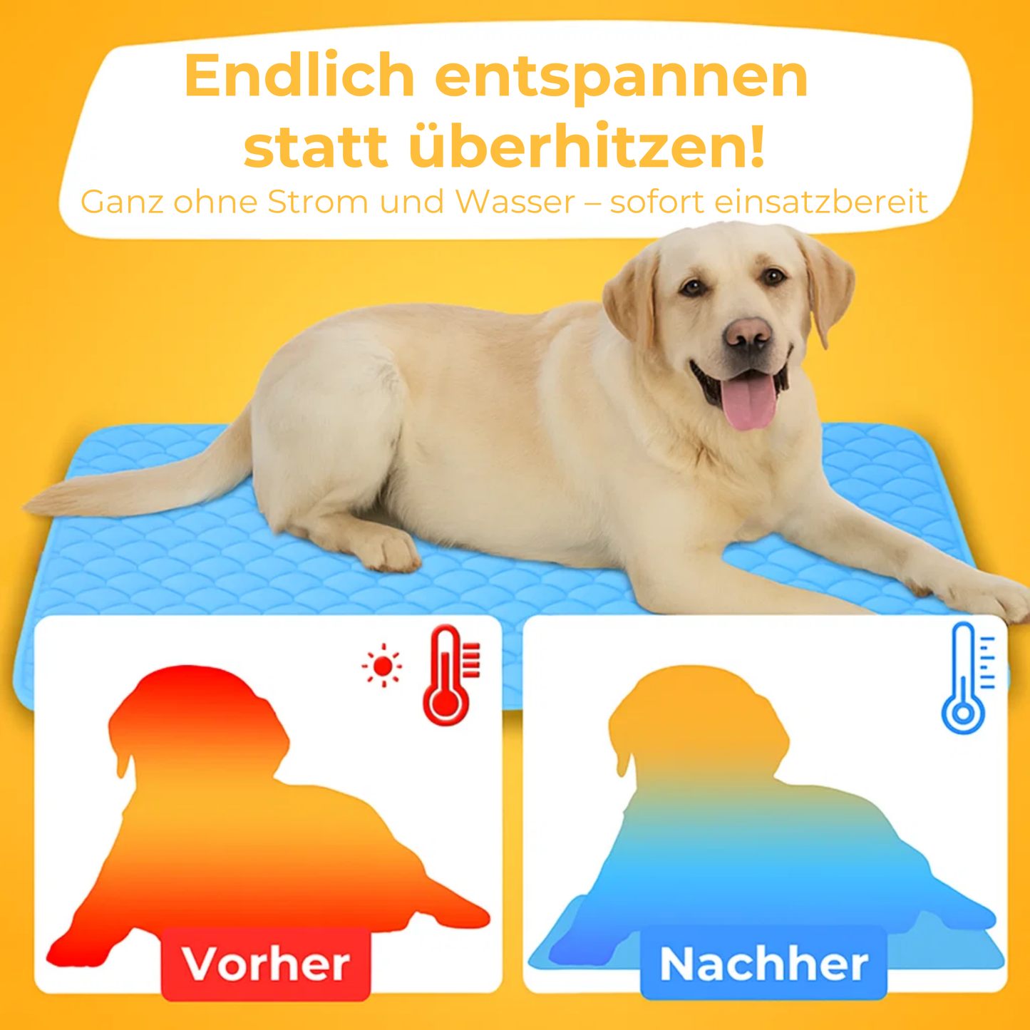 Pfotenfrost Kühlmatte