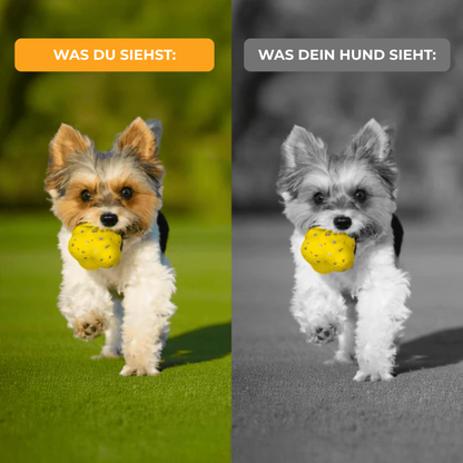 Kauzauber-Ball