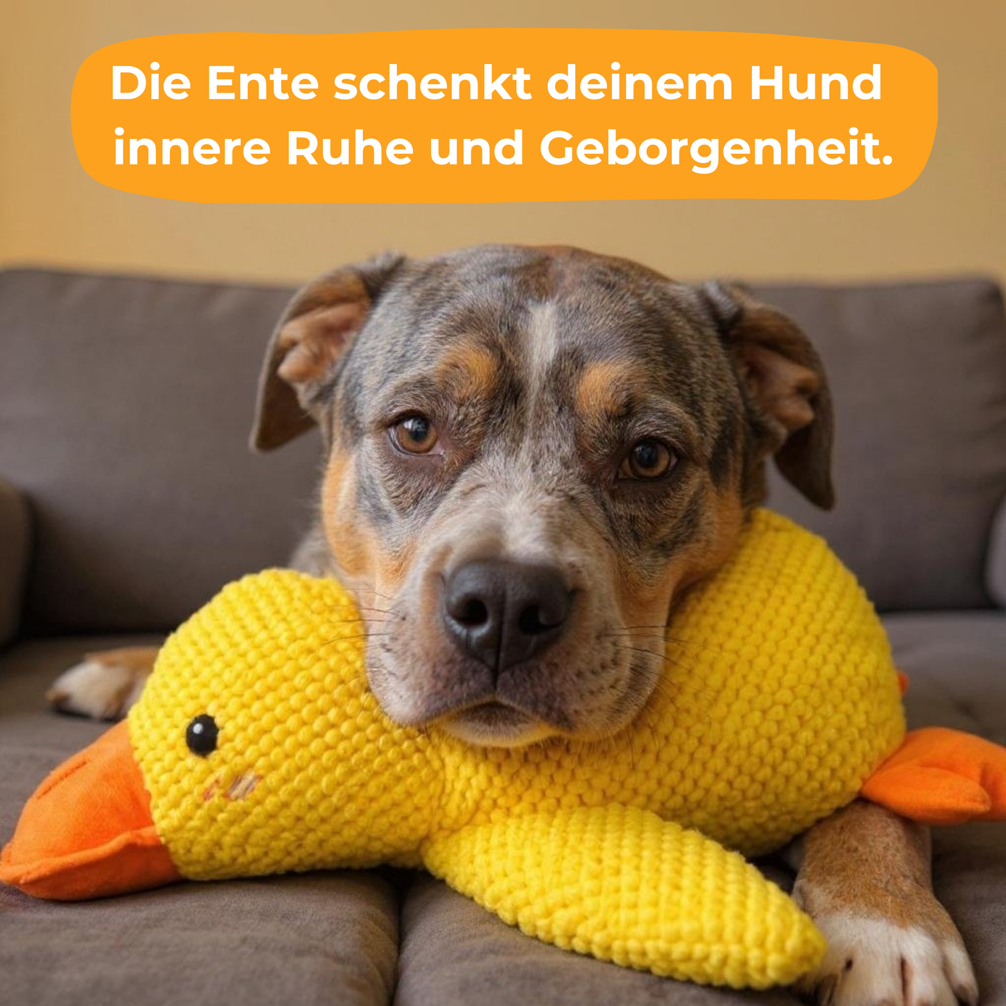 Anti-Stress Ente