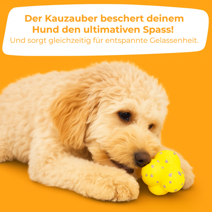 Kauzauber-Ball