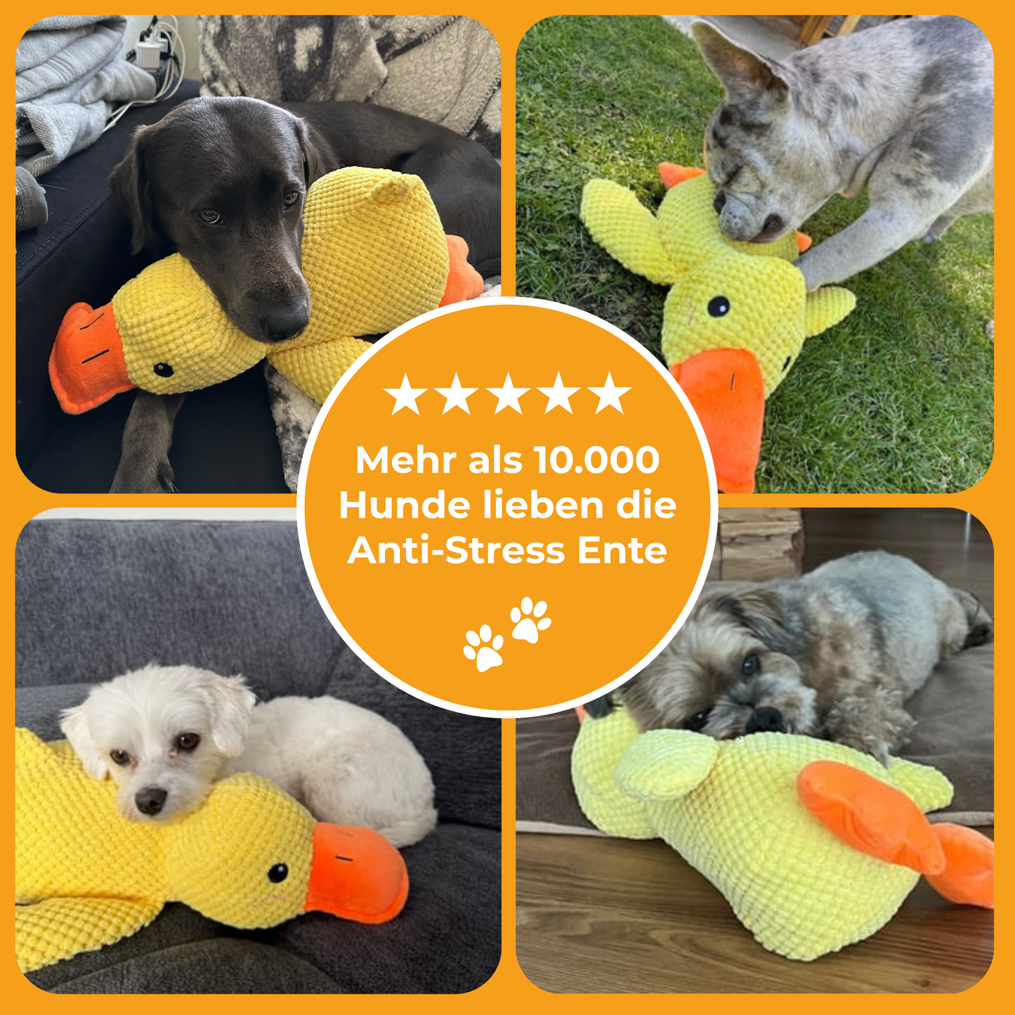 Anti-Stress Ente