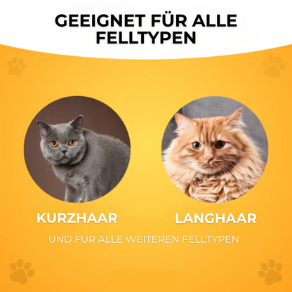 Fellblitz-Bürste