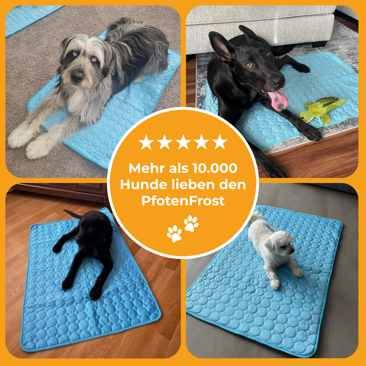 Pfotenfrost Kühlmatte